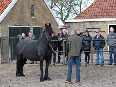 WhatsApp Image 2026-04-02 at 08.34.14