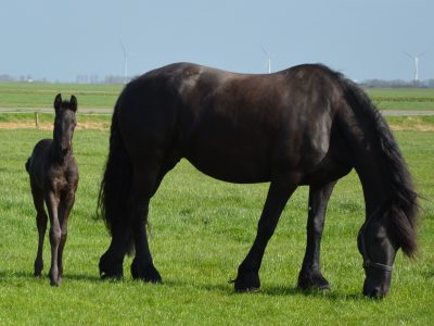 WhatsApp Image 2026-04-13 at 13.32.03